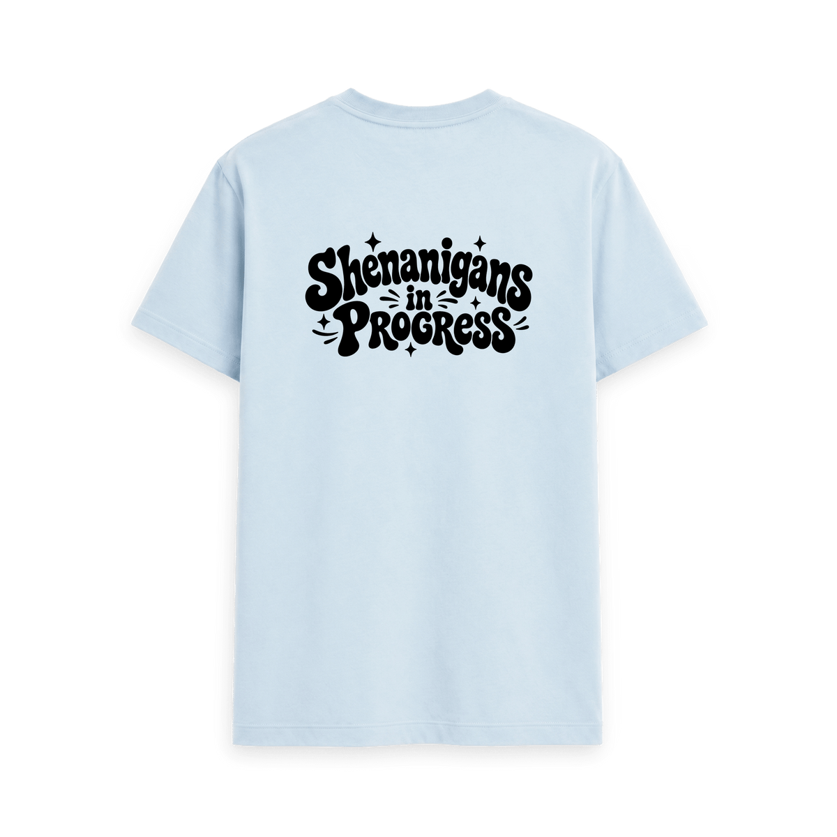 Sky Blue Printed T-shirt Back